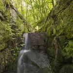Quinta Do Fontelo Сasa de vacaciones