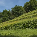Quinta Do Fontelo בית נופש *