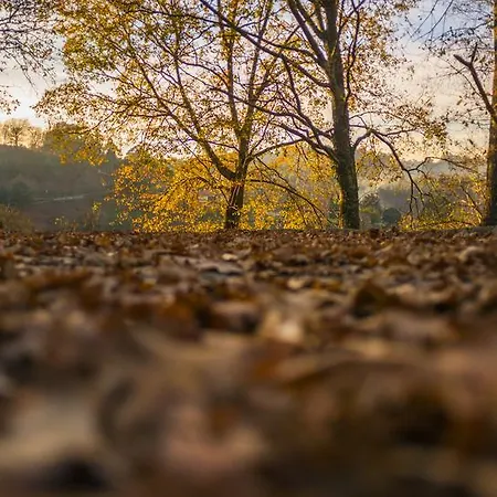 Quinta Do Fontelo بيت للعطل فوزيلا