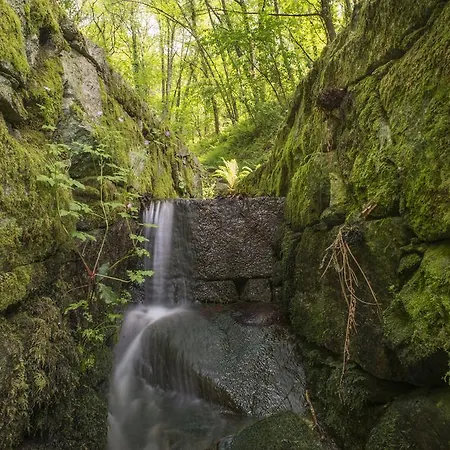 Quinta Do Fontelo بيت للعطل