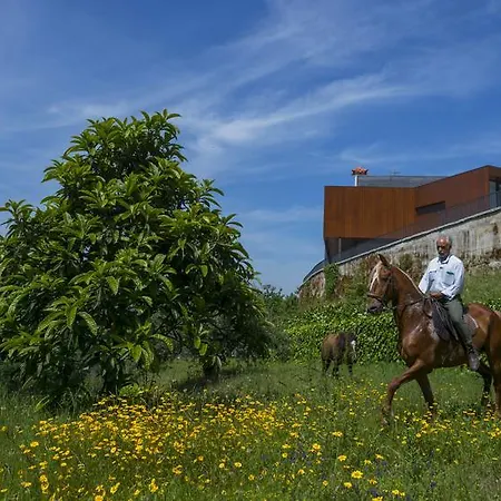 Holiday home Quinta Do Fontelo Vouzela