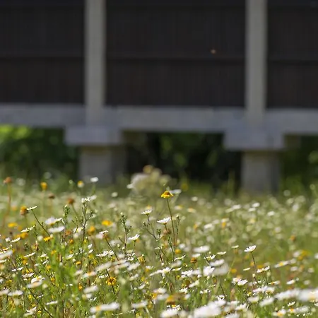 Quinta Do Fontelo فوزيلا