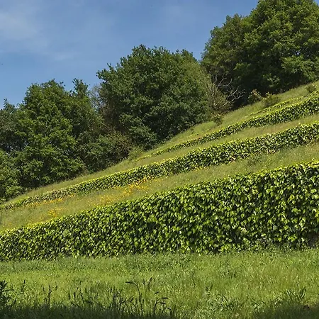 Quinta Do Fontelo Ferienhaus *