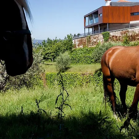 بيت للعطل Quinta Do Fontelo فوزيلا
