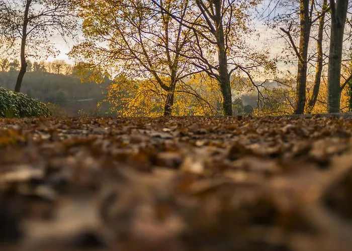Quinta Do Fontelo Feriehus Vouzela