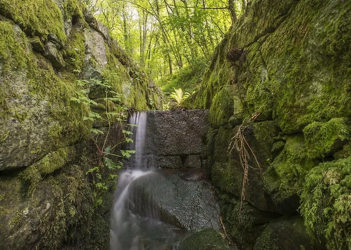 Quinta Do Fontelo Feriehus
