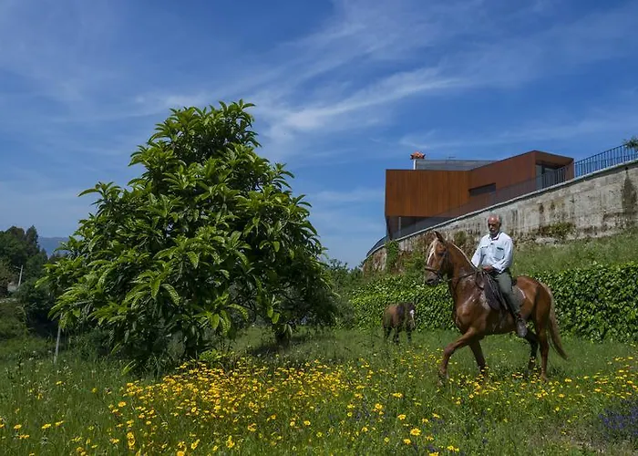 Feriehus Quinta Do Fontelo Vouzela