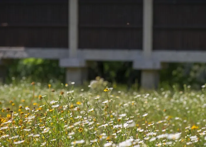 Quinta Do Fontelo Vouzela