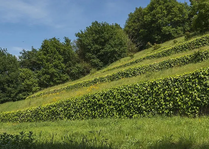 Quinta Do Fontelo Feriehus *