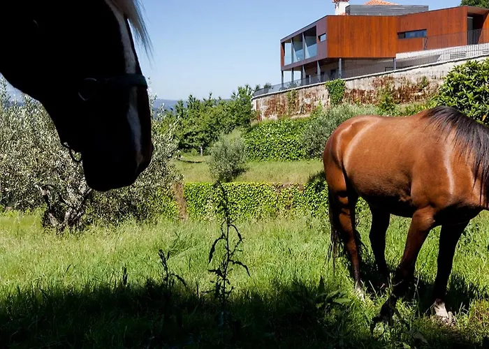 بيت للعطل Quinta Do Fontelo فوزيلا