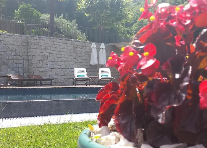 Quinta Do Fontelo Feriehus Vouzela